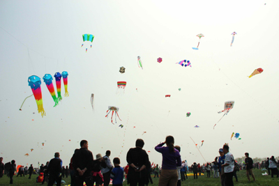 海內風箏高手競技第八屆濰坊世界風箏錦標賽