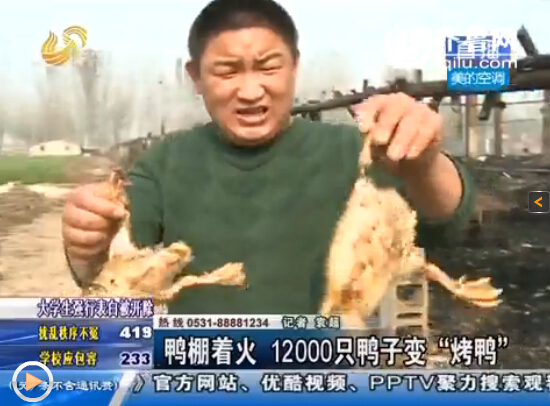梁山一鴨棚疑因電線掉落起火 上萬只鴨子變“烤鴨”