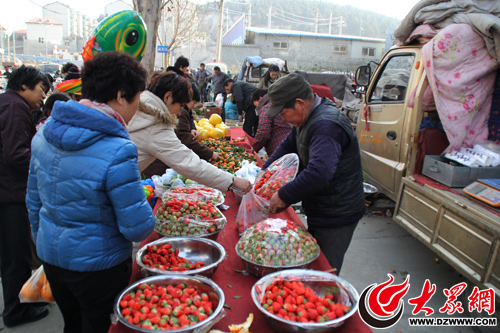 濟南市民過年新玩法 相約城郊趕大集