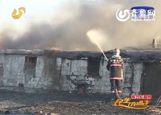 聊城高速路邊一養雞場被燒 大火從路北吹至路南