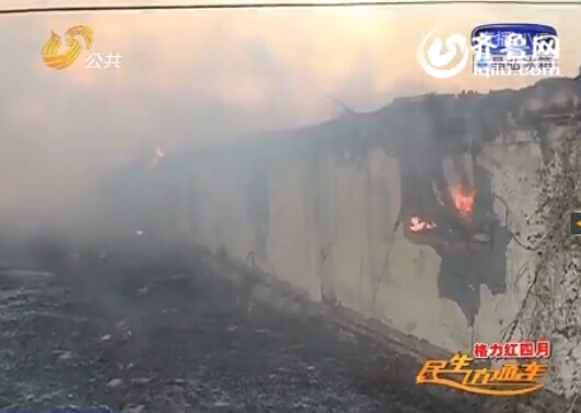 聊城高速路邊一養雞場被燒 大火從路北吹至路南