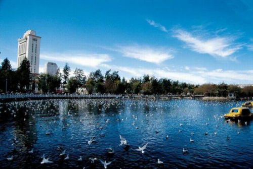 中國最養人城市TOP9榜單出爐 山東青島位居榜首