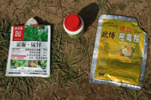 濟寧:錳鋅藥“毒倒”數(shù)畝甜瓜 廠家稱不是藥的問題