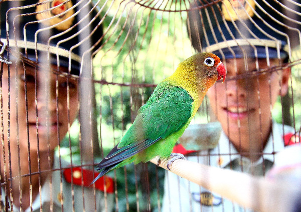 士兵護鳥愛鳥 駐地生態優良