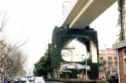 爬山虎瘋長或危及地鐵 地鐵方：已開展針對性養護