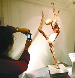 國(guó)展展出人體標(biāo)本