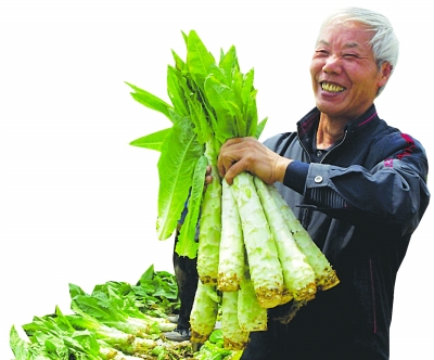 孫女發帖替奶奶賣萵苣 百名蔬菜經紀人今大采購