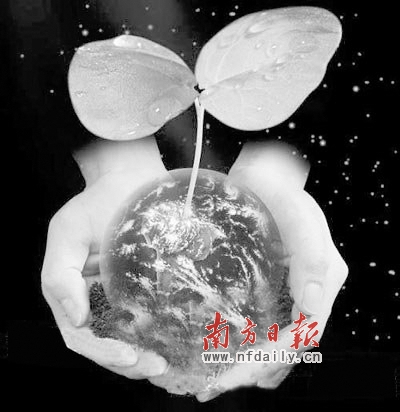 “麥兜族”奔波在追夢的路上 腳踏實地默默奮斗