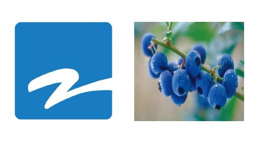 河南衛(wèi)視啟用