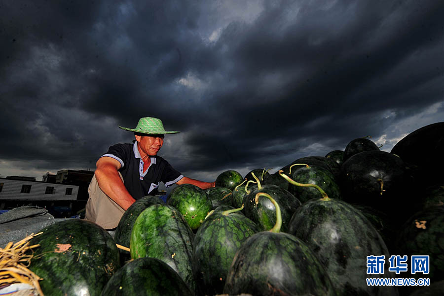 南方近日連遭強降雨 浙江發(fā)布首個暴雨黃色預(yù)警
