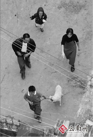 記者暗訪殺狗黑作坊：滿處血污恍如地獄(組圖)