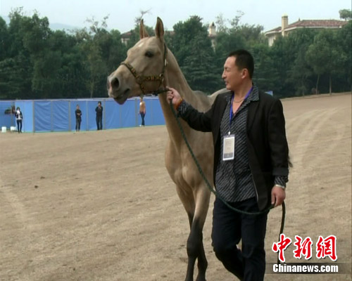 現(xiàn)實(shí)版