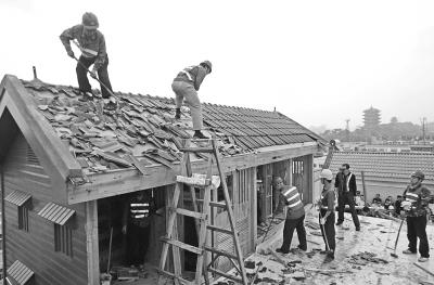 男子花50萬元建鴿子別墅 內住價值2000萬元鴿王