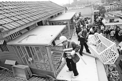 男子花50萬元建鴿子別墅 內住價值2000萬元鴿王