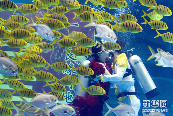 濟南：海底婚禮 見證別樣的“海枯石爛”