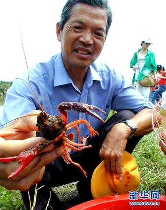 高清大圖：不只是食人魚 警惕“外來物種入侵”