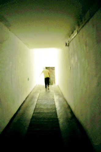 暴雨過后地下室“蟻?zhàn)?#8221;生存狀況調(diào)查