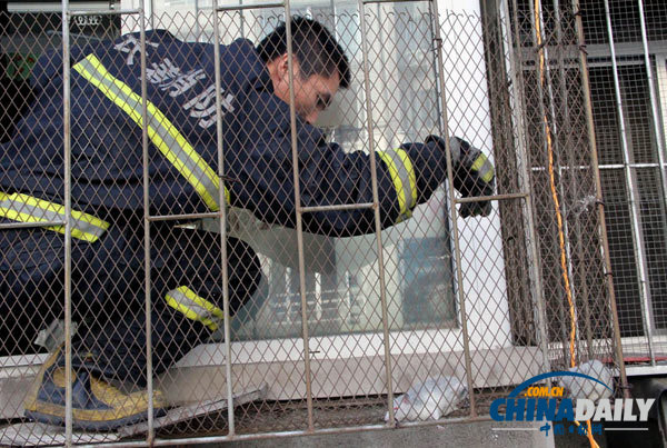 長春一居民家現18只老鼠 消防員徒手捕鼠1小時