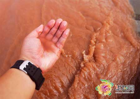 重慶環(huán)保部門調(diào)查長(zhǎng)江水變紅 稱泥沙所致無毒