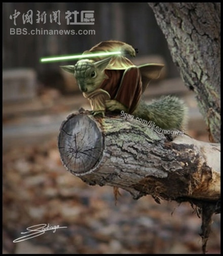 元芳很忙！細數那些一個不小心就火起來的“忙人”