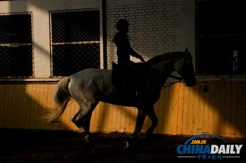 探訪京城頂級(jí)馬術(shù)俱樂(lè)部