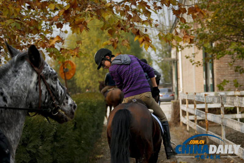 探訪京城頂級馬術俱樂部