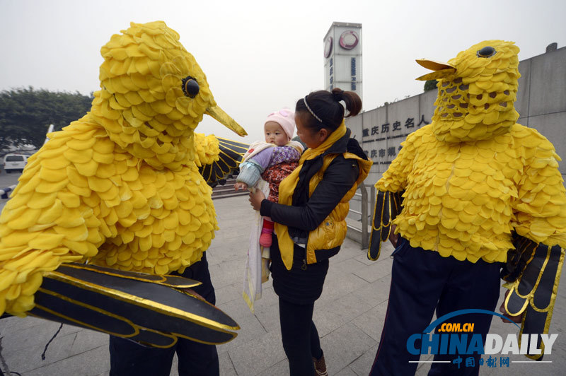 南京“鳥爺”騎行到重慶 扮“黃鸝”宣傳環保