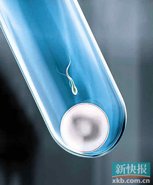 醫生為小三離婚又被其拋棄 7年后對方拿胚胎造子