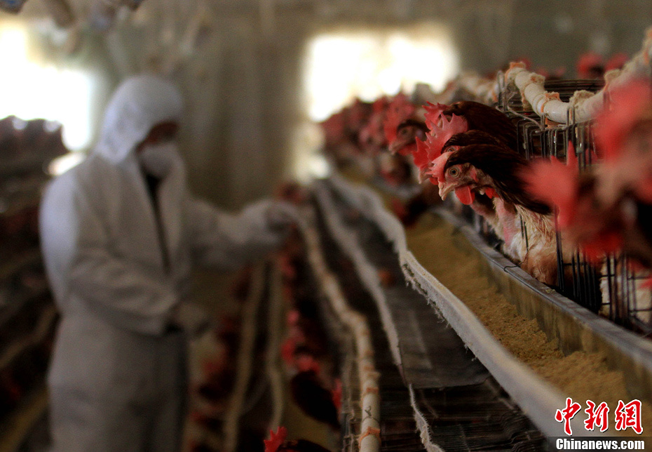 安徽舉行人感染H7N9禽流感應(yīng)急演練