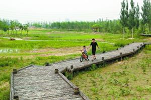 北京蟻族聚集地唐家嶺“變身” 村民：分到7套房