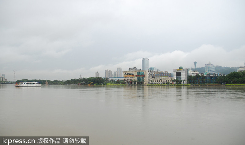 臺風西馬侖登陸 廈門一夜間變澤國