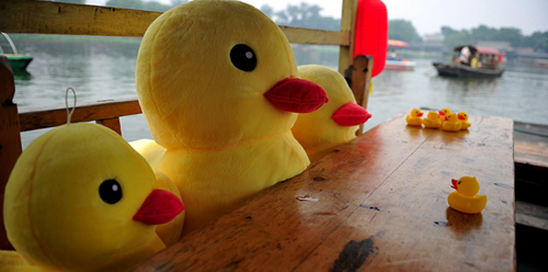 葉夢(mèng)圓確遭救護(hù)車碾壓致死 舊金山消防局局長(zhǎng)道歉