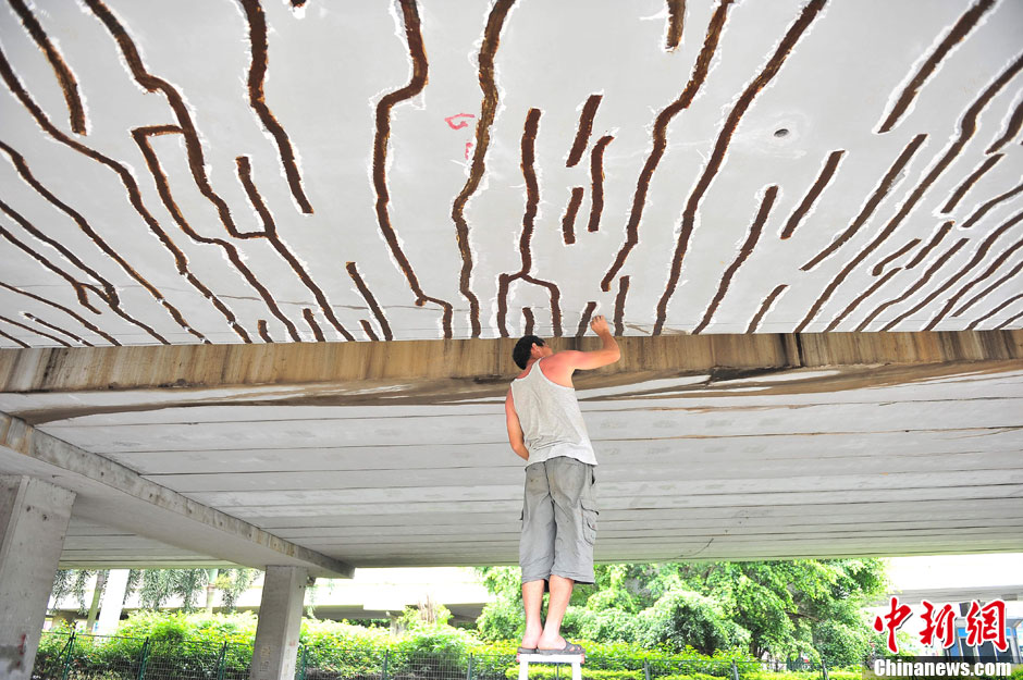 海口一引橋現200余條裂縫 官方回應稱不影響通車安全[組圖]