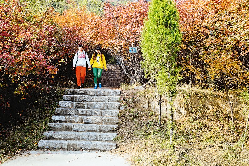 太原西山之秋 風景美不勝收