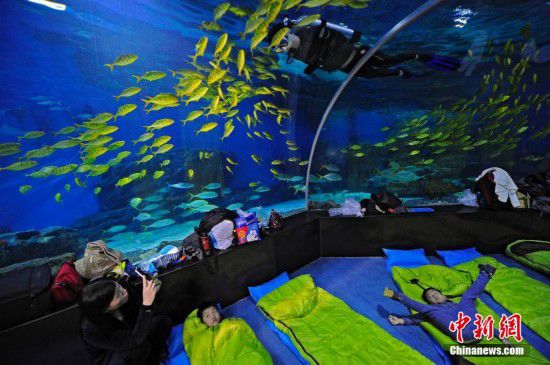 天津游客夜宿海洋館 體驗與魚共眠（全文）