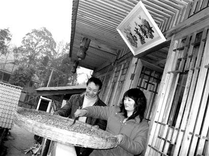 安縣首例重組家庭：愛在相濡以沫中重生(圖)