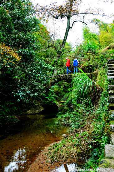武夷山：丹霞危崖 溪水明凈