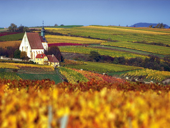 德國“魔力的櫥柜”法蘭肯