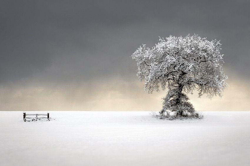 頂級攝影：眼球與心靈的雙重震撼(高清)