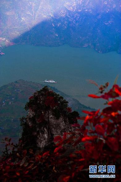 又到三峽紅葉時