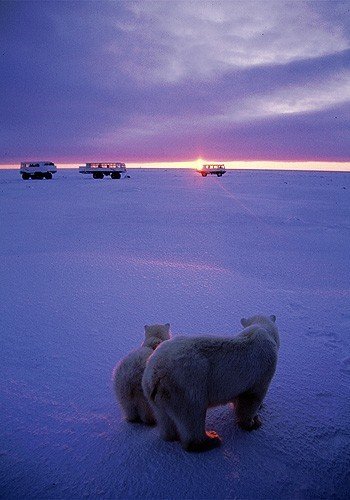 情人節去哪里？盤點最美約會地