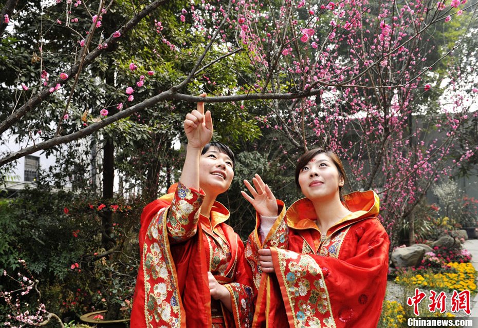 立春時節民眾著唐裝在甫草堂賞梅花