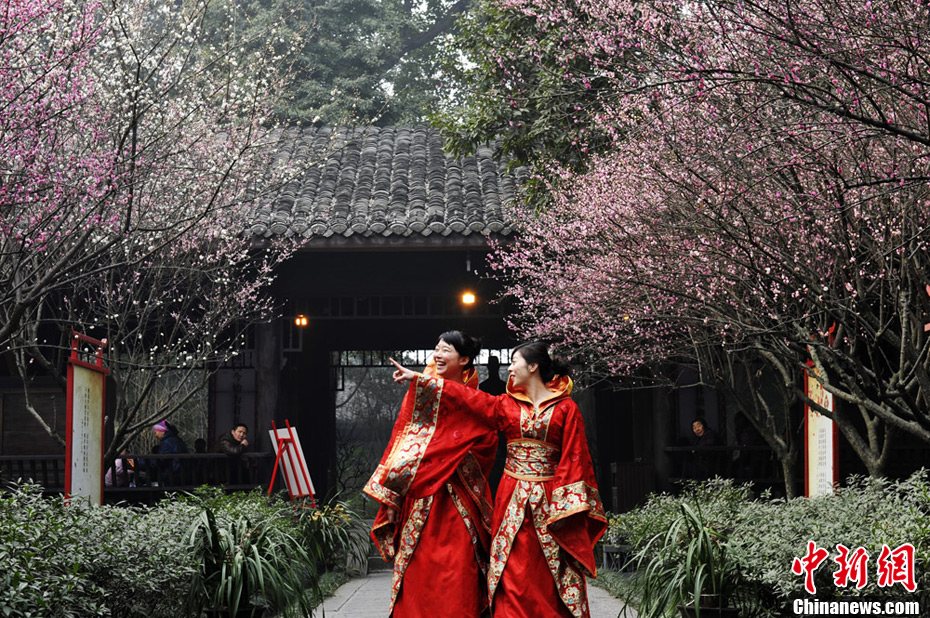 立春時節(jié)民眾著唐裝在甫草堂賞梅花