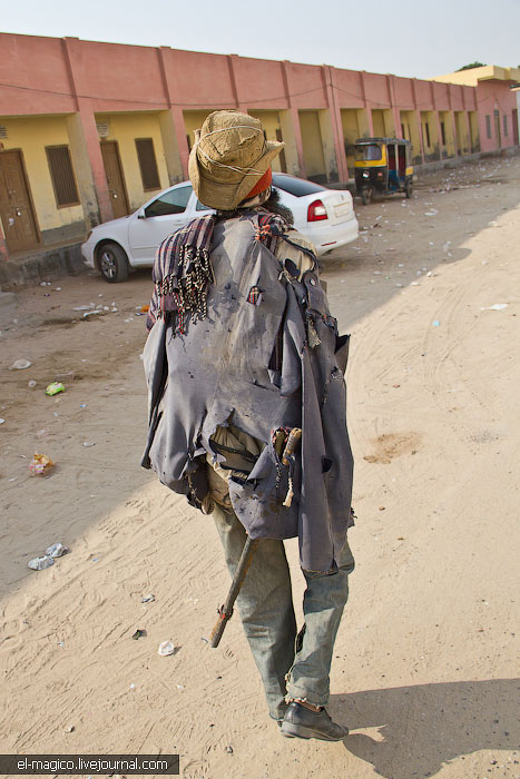 駭人！世界奇怪廟宇之印度“老鼠廟”