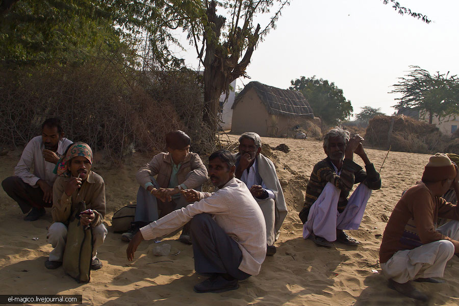 駭人！世界奇怪廟宇之印度“老鼠廟”