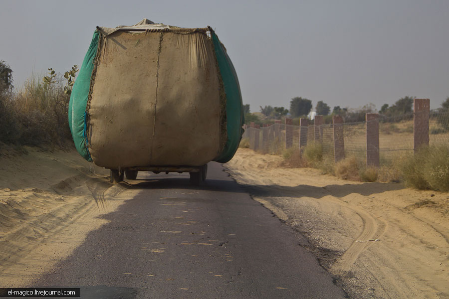 駭人！世界奇怪廟宇之印度“老鼠廟”