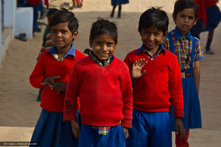 駭人！世界奇怪廟宇之印度“老鼠廟”