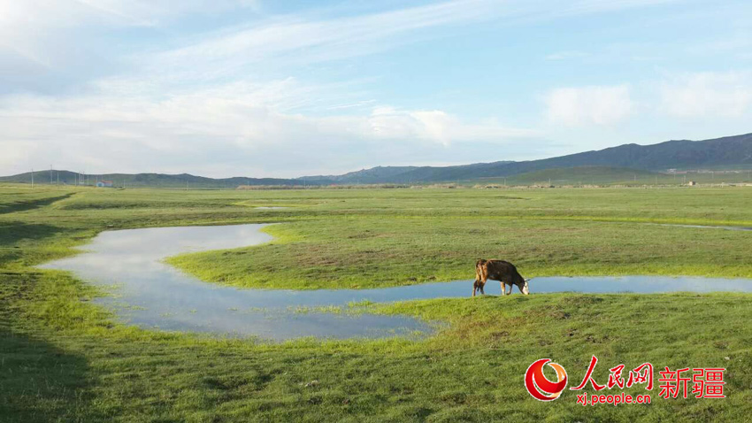 新疆沖乎爾:繽紛美景惹人醉