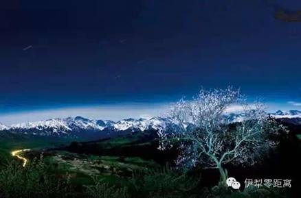 伊犁零距離：伊犁：藍與綠，你不曾遇到的純粹