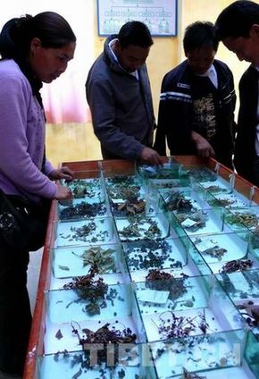 珠峰自然保護區：環保卓有成效 環境風貌依舊